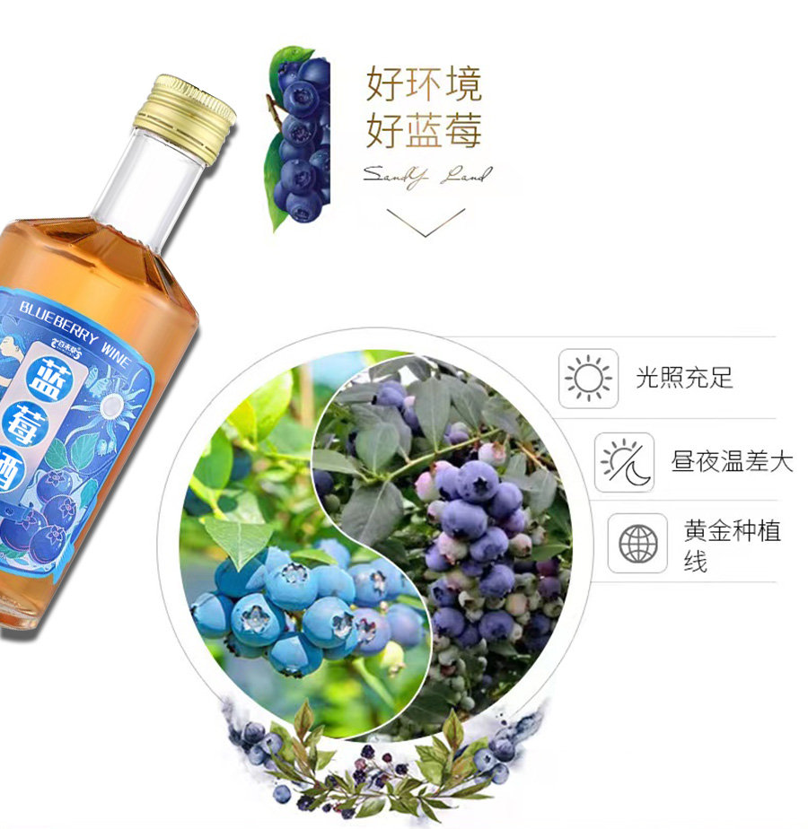 1670574915843234.jpg 藍(lán)莓酒詳情_02.jpg
