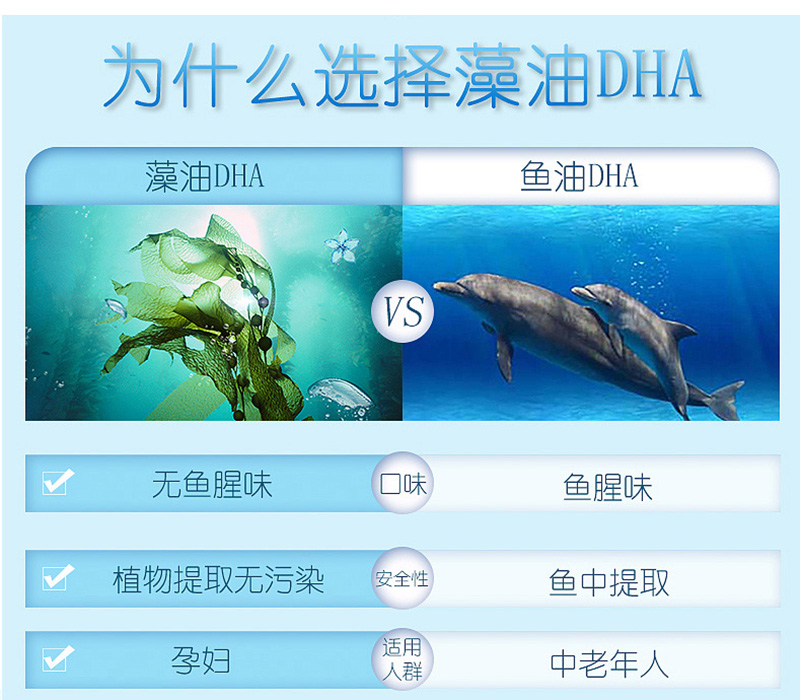 1735807367137532.jpg 未標題-2_04.jpg